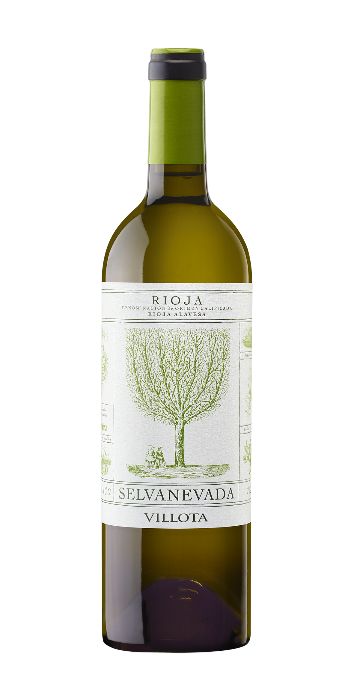 SELVANEVADA BLANCO m