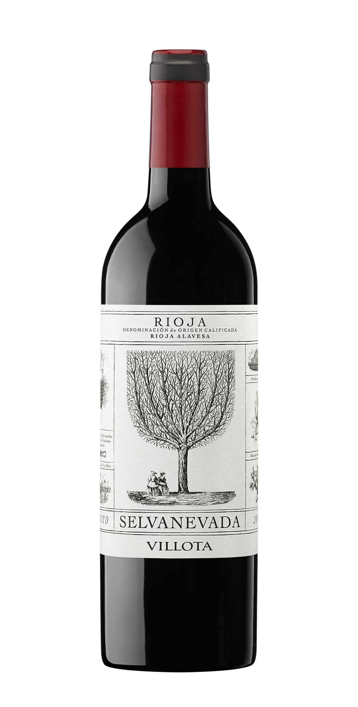 SELVANEVADA TINTO m