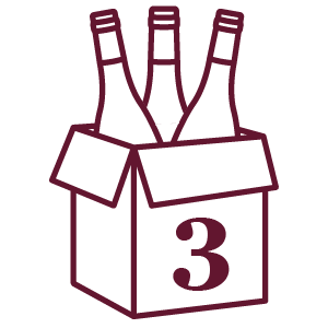 Caja seguridad 3 botellas