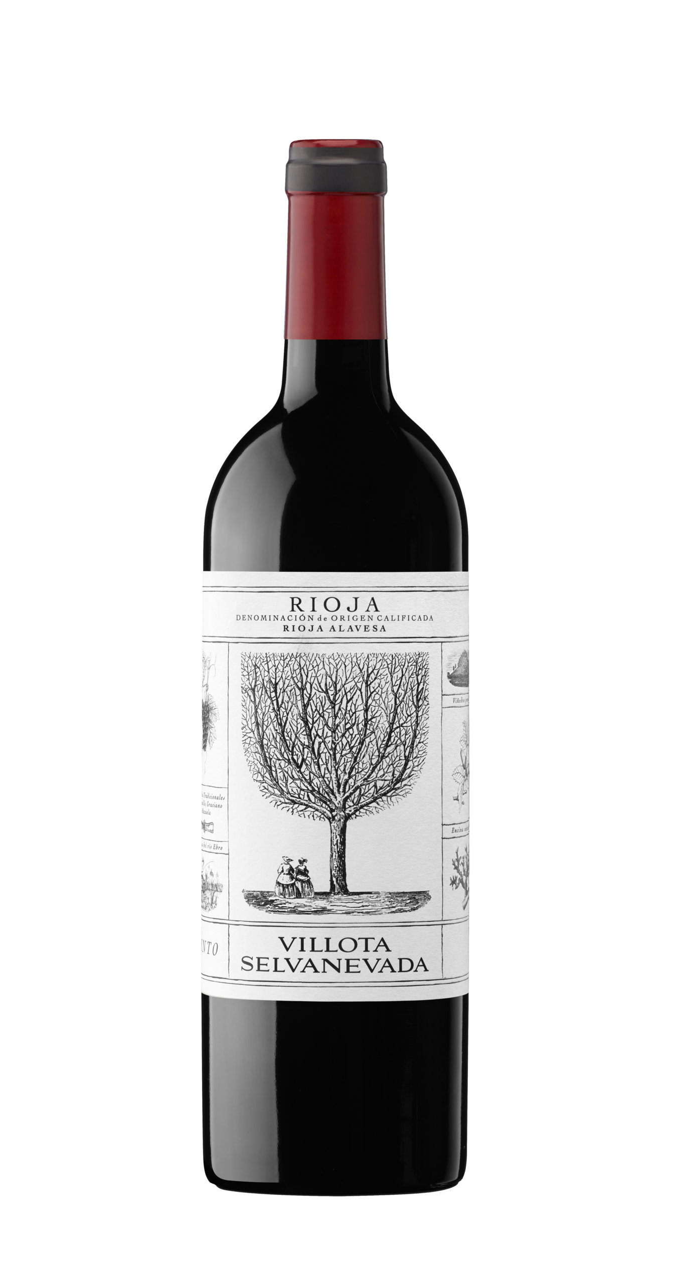 SELVANEVADA TINTO